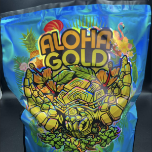 Aloha Gold Snow Cap Flower