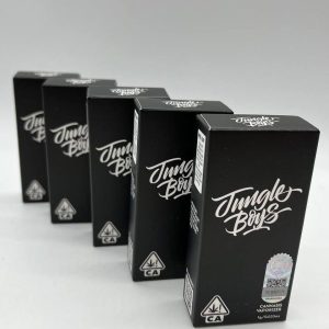 JUNGLE BOYS DISPOSABLE 1G