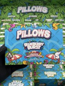 SNOOZE PILLOWS FLOWER SUMMER EDITION