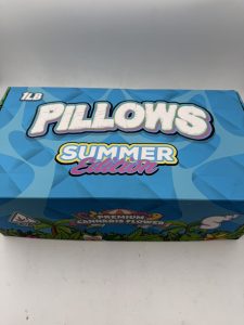 SNOOZE PILLOWS FLOWER SUMMER EDITION