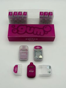 V5 BOUTIQ SWITCH GUM 2G DISPOSABLE