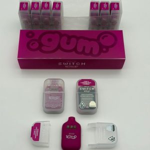 V5 BOUTIQ SWITCH GUM 2G DISPOSABLE