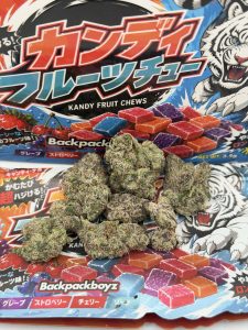 BACK PACK BOYZ WEED