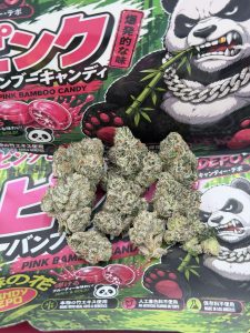 KANDY DEPO X BACKPACK BOYZ WEED