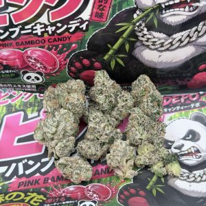 KANDY DEPO X BACKPACK BOYZ WEED