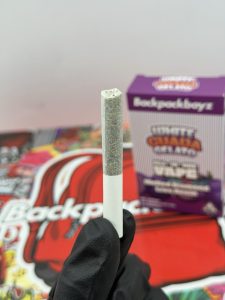 2G BackPack Boyz Disposable + Pre Roll