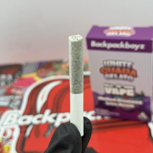 2G BackPack Boyz Disposable + Pre Roll