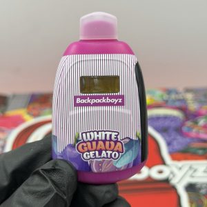 Backpackboyz Disposable 2G