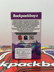 BACKPACKBOYZ 2G DISPOSABLE + PRE ROLL