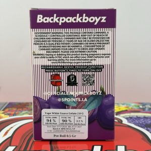 BACKPACKBOYZ 2G DISPOSABLE + PRE ROLL
