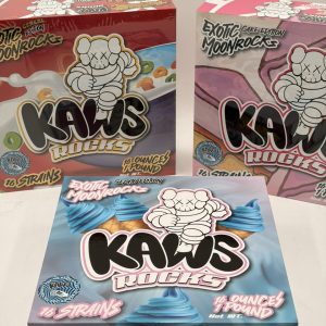 KAWS ROCKS – EXOTIC MOONROCKS – 1OZ
