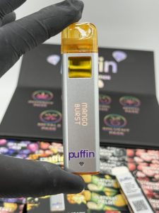 PUFFIN PLATINUM 2G DISPOSABLE